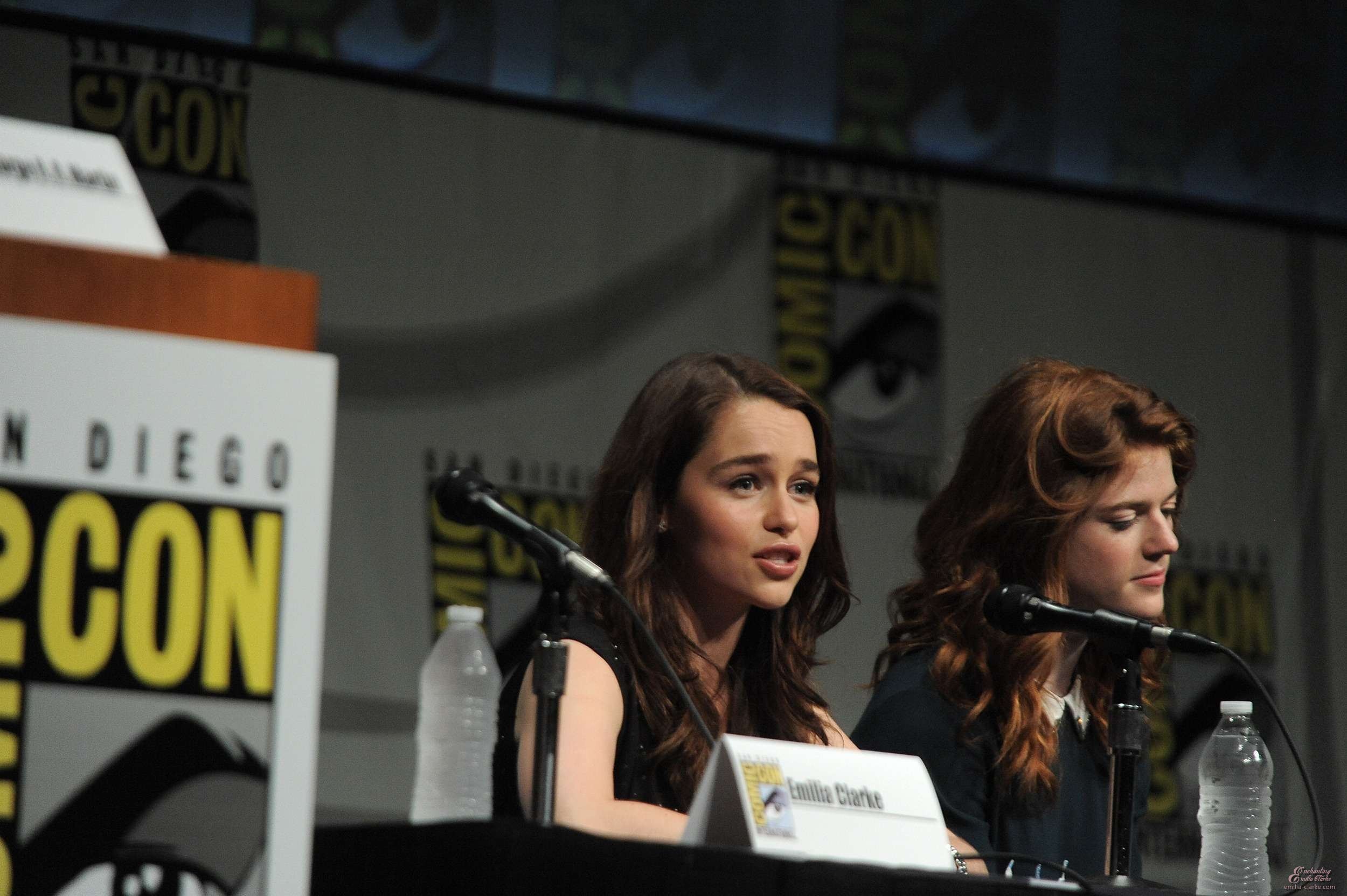 EEC-042.jpg EEC-042.jpg