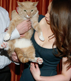 Filename=125.jpg
Filesize=759KiB
Dimensions=2213x3000
Date added=Mar 28, 2013 125.jpg