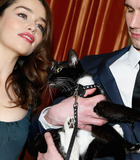 Filename=144.jpg
Filesize=802KiB
Dimensions=3000x1941
Date added=Mar 28, 2013 144.jpg