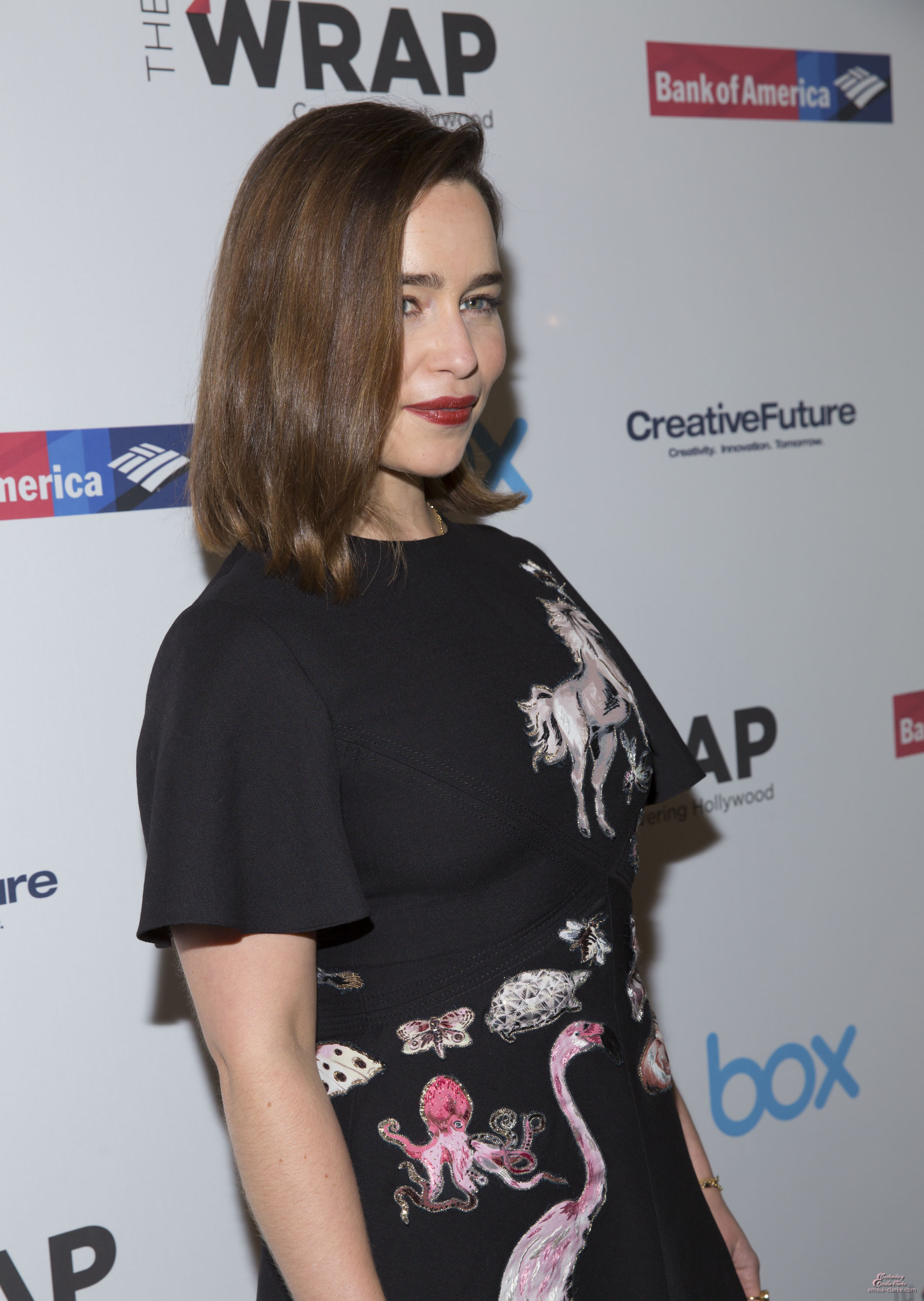 EEC-146.jpg EEC-146.jpg