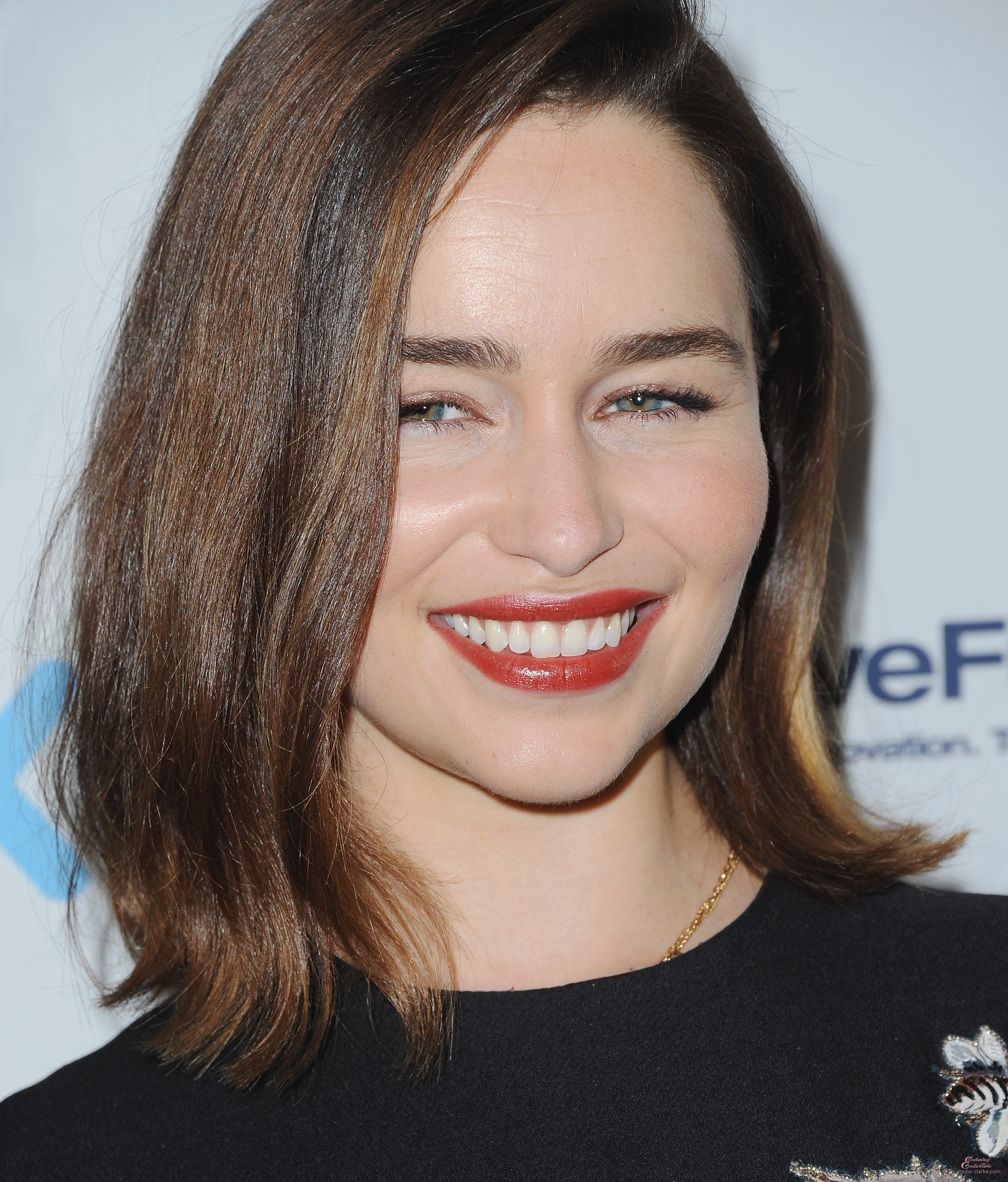 EEC-176.jpg EEC-176.jpg