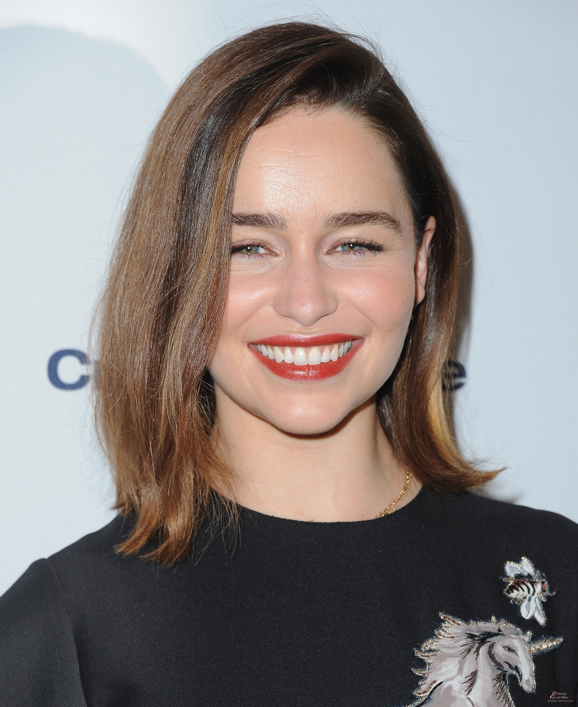 EEC-196.jpg EEC-196.jpg