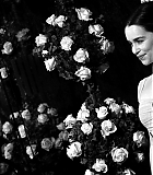 Filename=EEC-134.jpg
Filesize=1753KiB
Dimensions=3000x2000
Date added=Oct 06, 2016 EEC-134.jpg