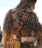 Filename=414.jpg
Filesize=266KiB
Dimensions=2048x1365
Date added=May 16, 2018 414.jpg